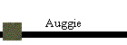 Auggie