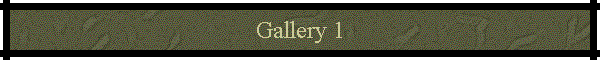 Gallery 1