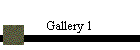 Gallery 1