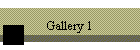 Gallery 1