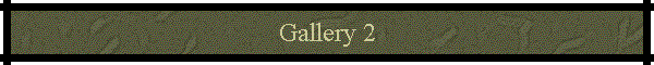 Gallery 2