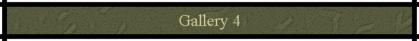 Gallery 4