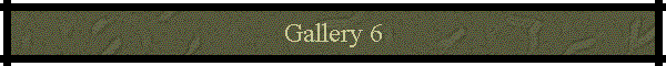 Gallery 6