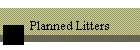 Planned Litters