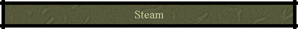 Steam