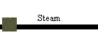 Steam