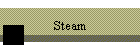 Steam