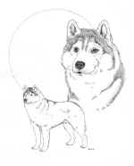 Nicky-BigDrawing.jpg (42525 bytes)